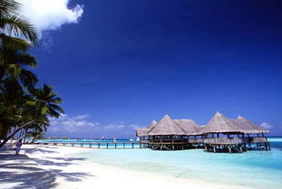 马尔代夫旅游5天费用一个人去一趟马尔代夫最少花费多少（马尔代夫旅游需要花多少钱）