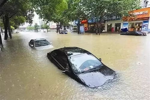 连雨天时节,逢暴雨车被淹,没买涉水险 简单三步,保险公司照样赔钱 有车的都要看 搜狐汽车 搜狐网 