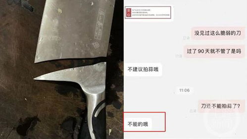 张小泉菜刀拍一下蒜就断了 客服 菜刀不能拍蒜 专家发话了