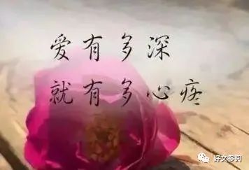 情人相处,什么最重要