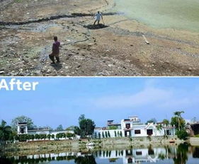看不惯家乡池塘积满垃圾,印男用自己的力量复苏12座死水池
