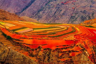 全中国最有气势的红土地,奇美浓烈的色彩艳丽而斑斓,能灼痛双眼