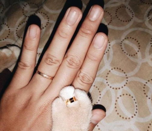 主人向猫咪 求婚 ,却因戒指太小被卡住,猫咪的眼神让人笑喷