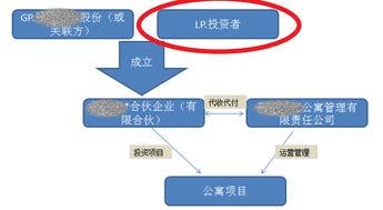 2、投资基金主要收取的费用有（ ）。