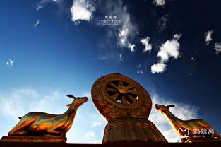 2016年西藏节日表,2016西藏藏历年节日对照表,2016藏历表 