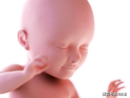原创胎儿胎动的“高峰期”在这3个时间点，错过就要等下一次