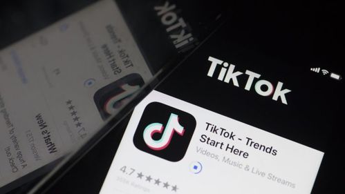 tiktok公司注册东南亚_TikTok 商业 账号