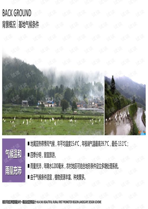 53.赠 南京开发区桦墅美丽乡村启动区景观设计 75页.pdf