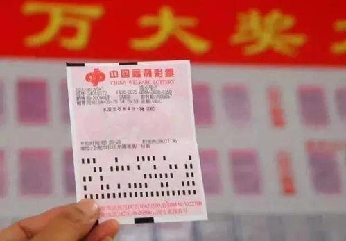 中不了彩票就造一张 宁波男子伪造百万大奖彩票被判三年