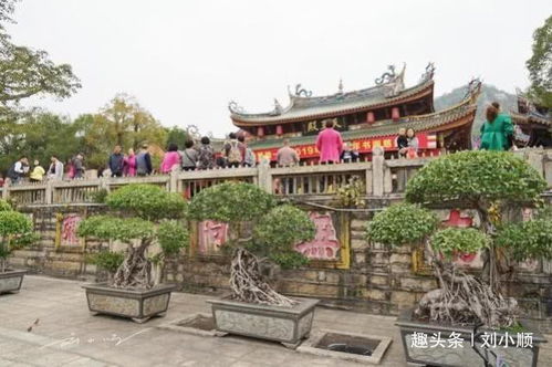 厦门 最美 寺庙,紧邻厦门大学,门票 上香都免费,游客 良心