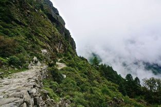 贵州适合一个人旅游的地方(一人旅游适合去哪)