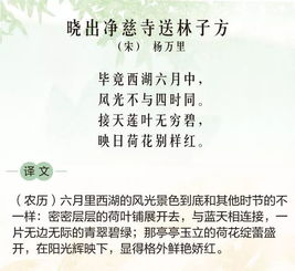 24节气竟然可以这么玩 涨知识了