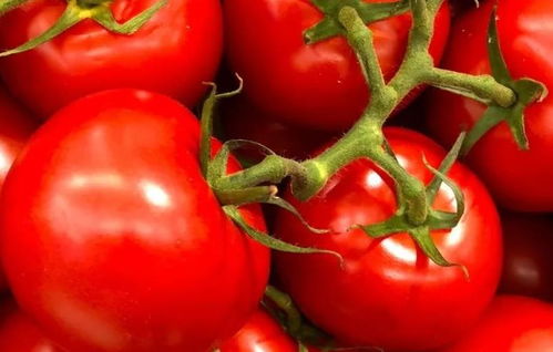 西红柿,营养好,貌美年轻疾病少 但以下4类人别碰,为健康 番茄 食用 肠胃 