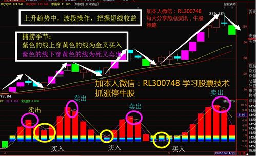 股市涨势中死叉说明啥