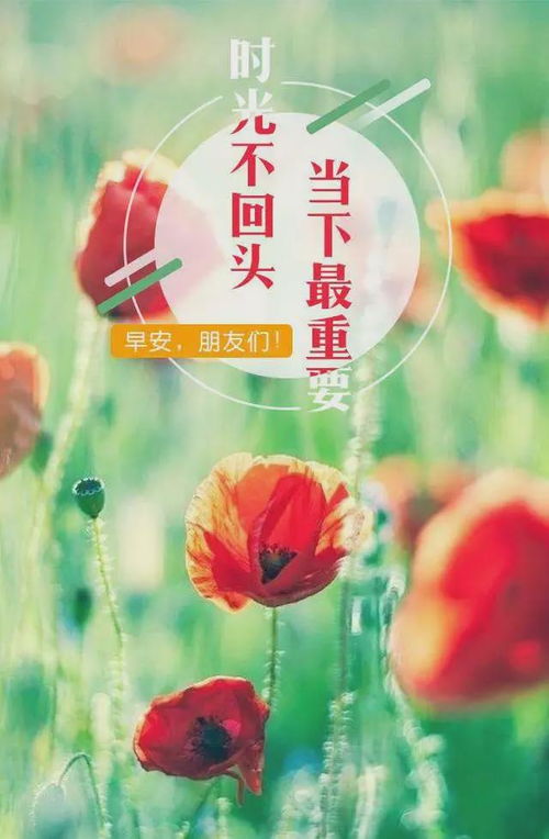 2020早安简短的励志语—2020年12月11日早安祝福？