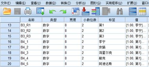 排序题1 建立SPSS数据集模板