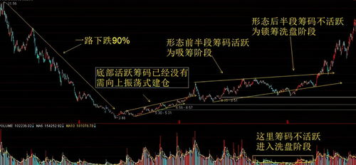 一只股票主力进场超过50%，代表什么意思