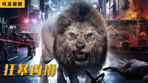 当野生的狮子闯入城市,人类就遭殃了 狂暴凶狮 