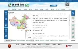 企业站群站群秒收程序