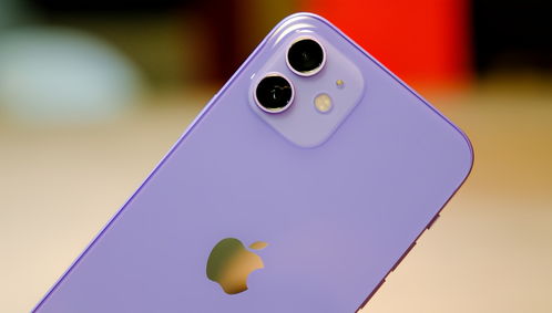 iPhone 12跌至 新低价 ,A14 iOS14 紫色,网友 正好想买