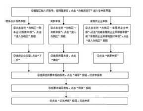 公司报税流程