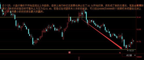 上海贝岭这支股票怎么样？