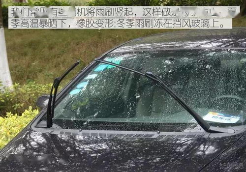 关于汽车雨刮,这些常识你必须知道