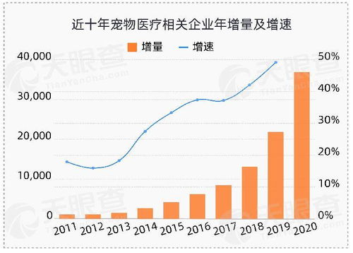 全球疫情带来宠物市场爆发 我国今年宠物企业新增数量增长超八成