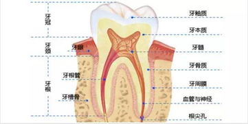 这部短片看哭很多阜阳人 关爱父母,其实可以这样做