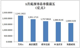 邓晓峰持股比亚迪市值19亿元 冯柳继续加仓海康威视