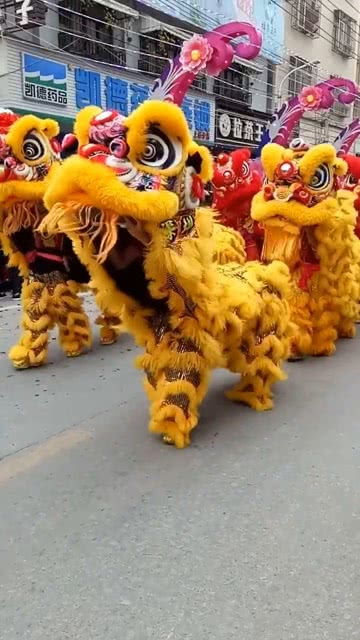 这个大狮子可真的是太帅了,舞狮也算是我们中国的国粹吧 