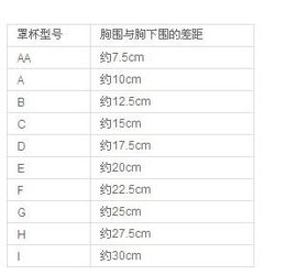 怎样测胸围,才是最标准的abcd又是多少 