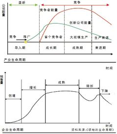 企业不同生命周期应采取怎样投资策略？