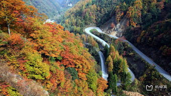 2016四川哪里可以看红叶,四川看红叶地方推荐 