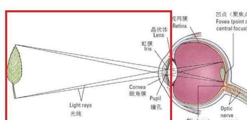 这些你一定要知道;有什么常识是大家都不知道的