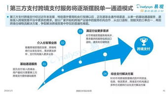 现在人民币跨境支付的主要手段都有哪些(支付海外服务器费用)