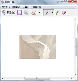如何用windows自带画板截图 