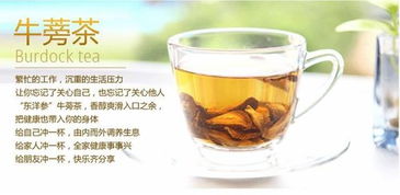 旺达牛蒡︱牛蒡茶什么季节喝好 在什么时间喝 