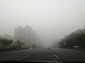 今天阴天有雾,出行的线友们注意安全了