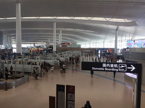 南京机场东方航空电话（东方航空 南京机场） 第1张