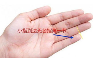 从手相学上来说,小手指代表什么 