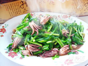海兔炒韭菜 做法,韭菜炒海兔怎么做好吃,韭菜炒海兔的家常做法