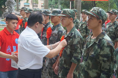 大学生当兵值得吗 盘点大学期间当兵,各个时间节点优惠政策