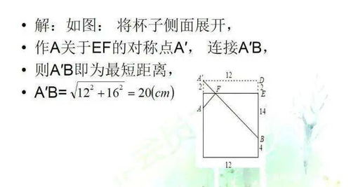 八年级数学勾股定理中蚂蚁爬行问题的七种情况 