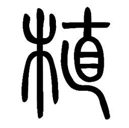 说闻解字 植 