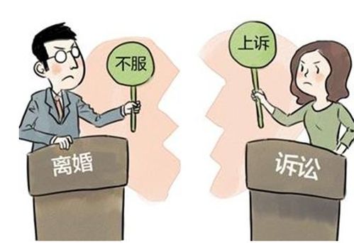 离婚请律师打官司要多少钱 离婚官司怎么请律师