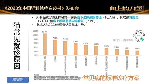 2023年最新期刊查重率要求解读