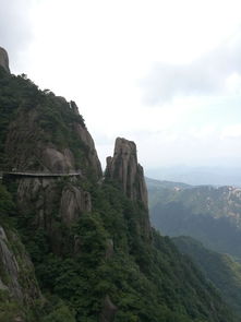 九华山 莲花盛开的地方