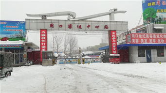 快讯 持续降雪 周口客运中心站班车全部停运