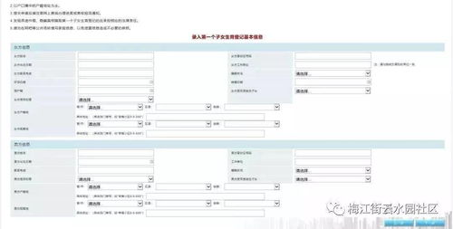 一 二孩生育登记网上办理流程